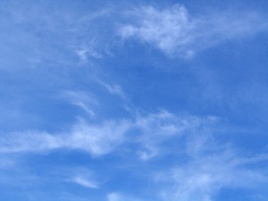 IMG_4575